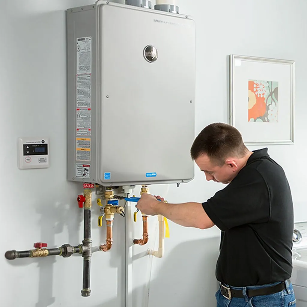 tankless water heater repair in Crapo, MD